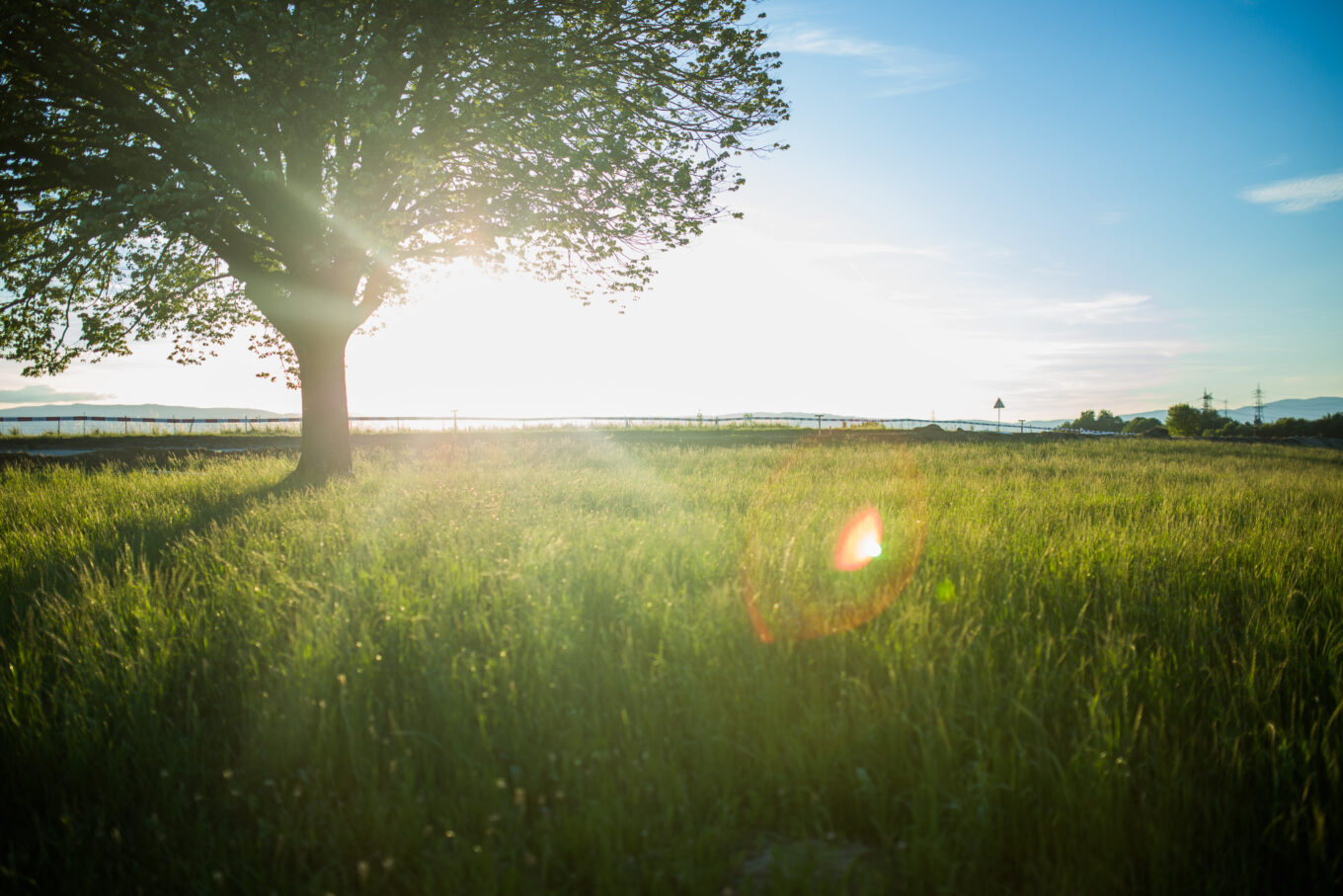 Zomer seizoen