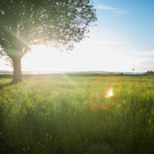 Payrolling: dé oplossing voor seizoenarbeid