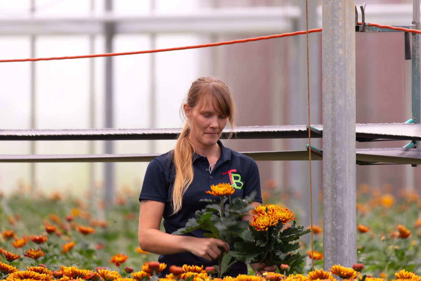 Case Tuinderij Boender