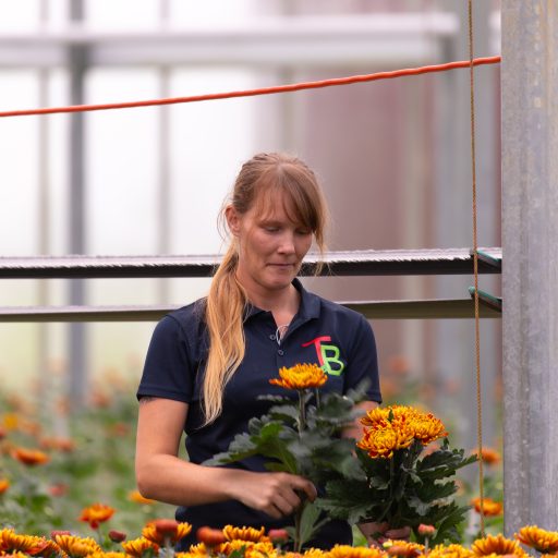 Case Tuinderij Boender