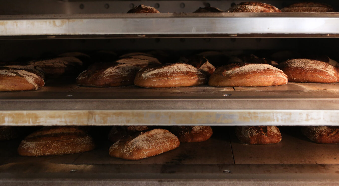 bbrood