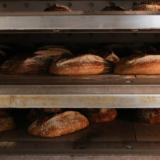 BBROOD